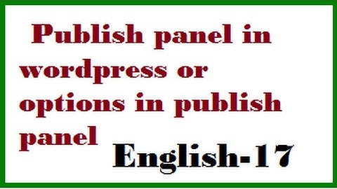 How to use publish panel in wordpress or options in publish panel English-17-vlr training