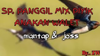 suara panggil walet +piyik anakan walet mantap dan jooss