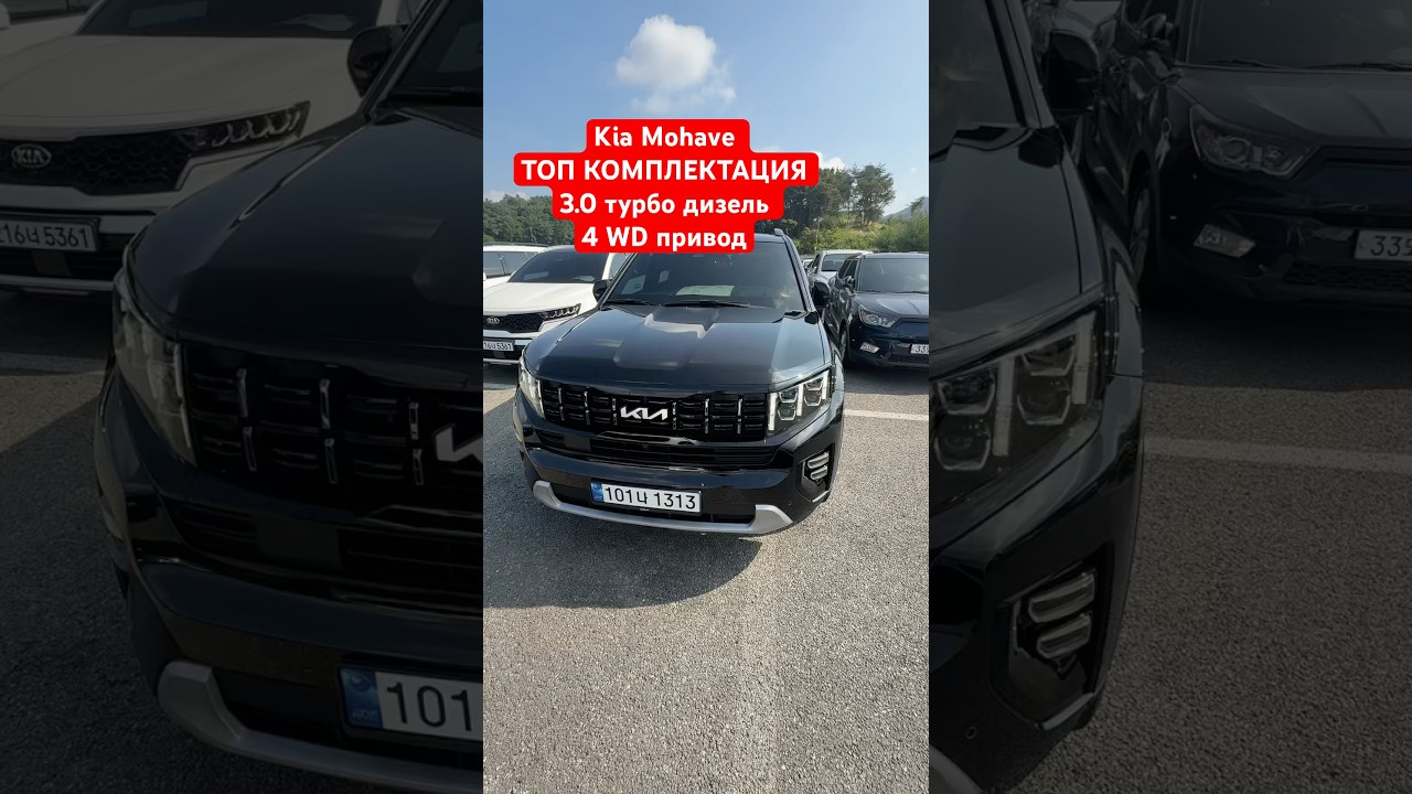 Топовый Mohave: что скрывает версия Gravity? 