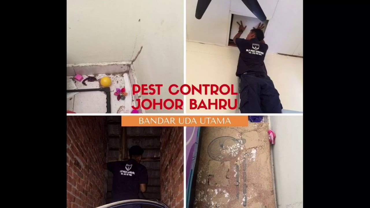 Kesan serangan anaianai (pest control johor bahru) YouTube