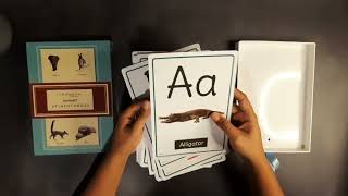 Raldins - [Large] A5 Sized ABC Animal Alphabets Flash Cards [Unboxing], 320 GSM thickness