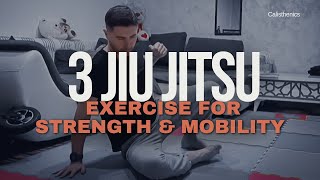 3 JIU JITSU Exercise You Need to do to Build STRENGTH and MOBILITY | Best JIU JITSU Drills