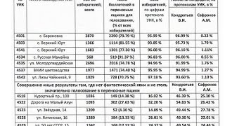 Выборы Сочи 13 сентября 2020 года. Выборы губернатора и депутатов в городское собрание