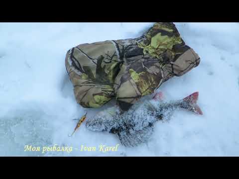 Video: How To Fish On A Balancer In Winter