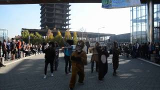 Ylvis - The Fox @ UEK - flashmob