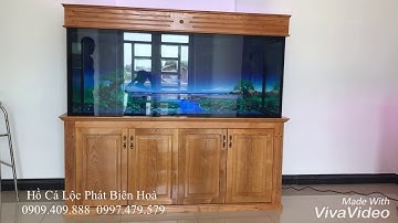 Hồ cá rồng lắp đặt tại nhà anh Đại Long Thành Biên Hoà