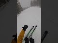 Skying While Snowing. Italy