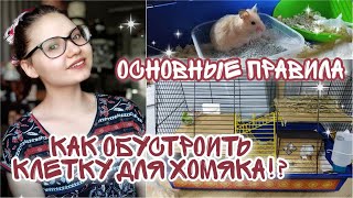 КАК БЫСТРО ОБУСТРОИТЬ КЛЕТКУ🤔ПОДАРИЛИ ХОМЯКА😱ЧТО МОЖНО ЕСТЬ/НАПОЛНИТЕЛЬ/СЕНО/ЭТАЖИ/ОСНОВНЫЕ ПРАВИЛА🙏