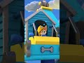 "Special Delivery" song from Pupstruction! Every delivery is special! ✈️✨ | Disney Jr.