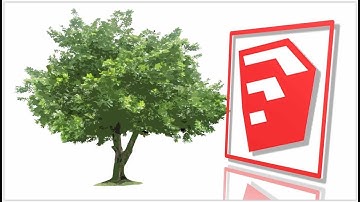 sketchup trees,sketchup 2d trees face me,how to make a tree in sketchup