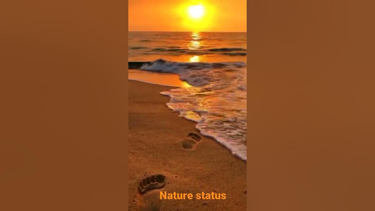 Beautiful River sunset status video#Shorts#Nature status video#Nature what's app status video
