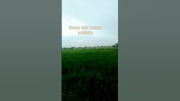 usia bertambah#jatah usia berkurang