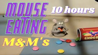 Mouse Eating M&M’s 10 Hours