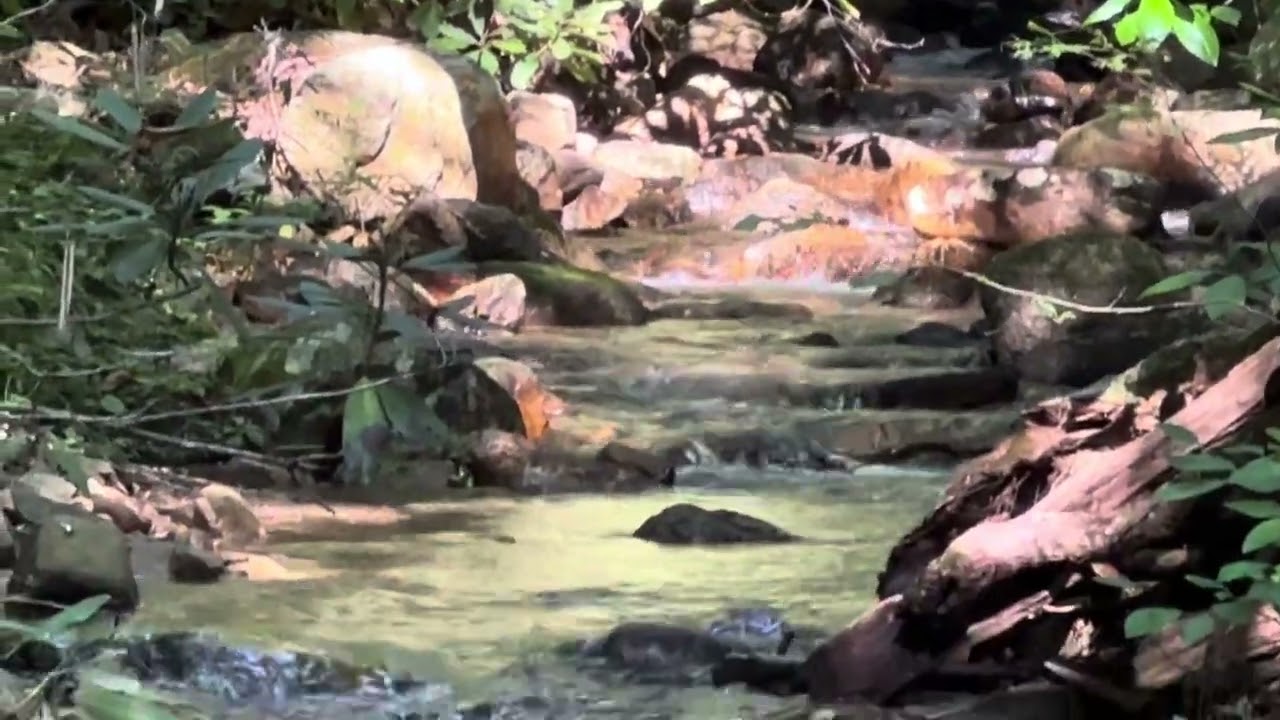 Gee Creek, Cherokee National Forest