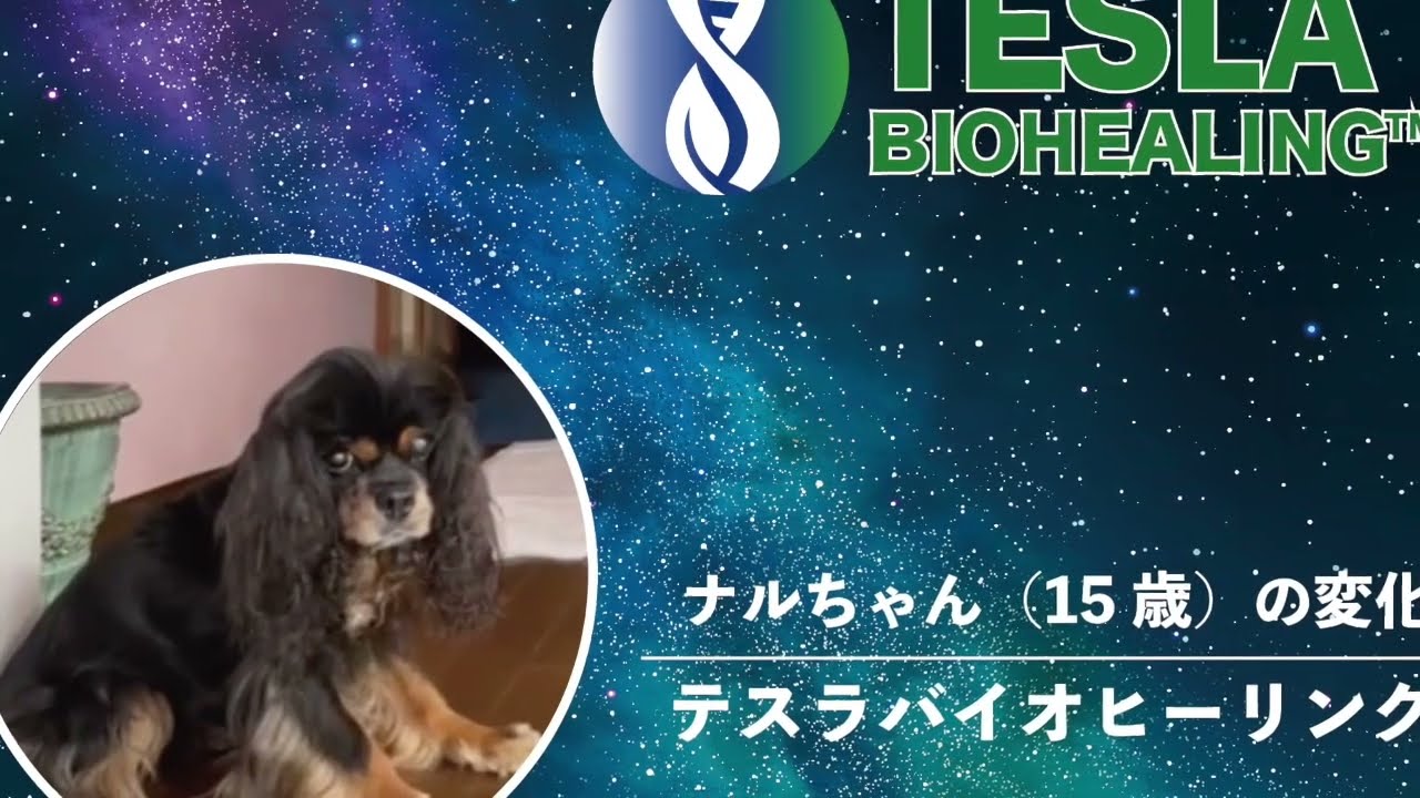 老犬なるちゃん約２０日の変化