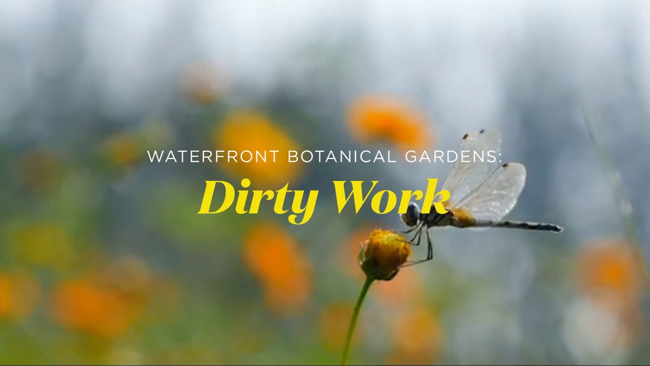Waterfront Botanical Gardens | Dirty Work