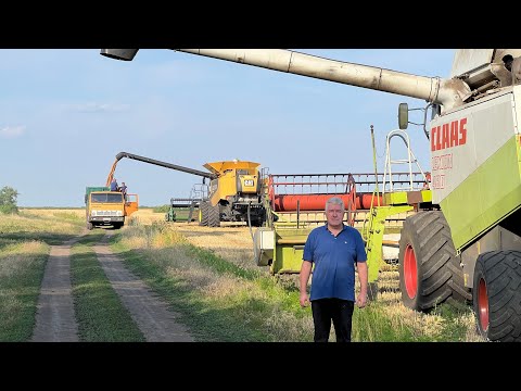 Видео: Жнива🌾2023‼️100ц⁉️відео для тих хто цінує працю хлібороба👍💙💛