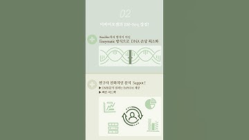 Enzymatic Methyl seq