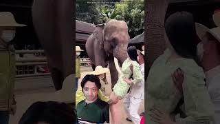 Amazing Animal Facts #shorts #amazingfacts #animals #factsinhindi