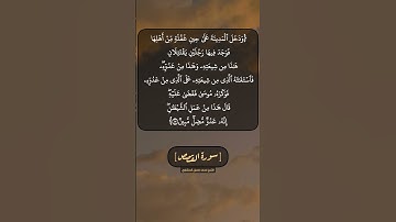 سورة القصص الآية ١٤ و ١٥ بصوت الشيخ محمد صديق المنشاوي