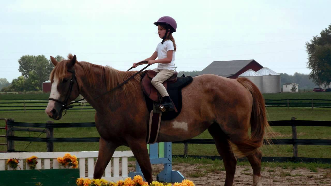 Horseback Riding Lessons at Rockin' 4W Ranch YouTube