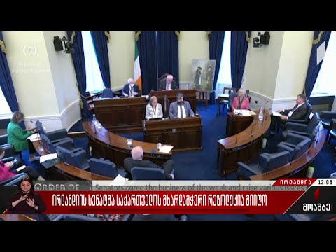 ირლანდიის სენატმა საქართველოს მხარდამჭერი რეზოლუცია მიიღო