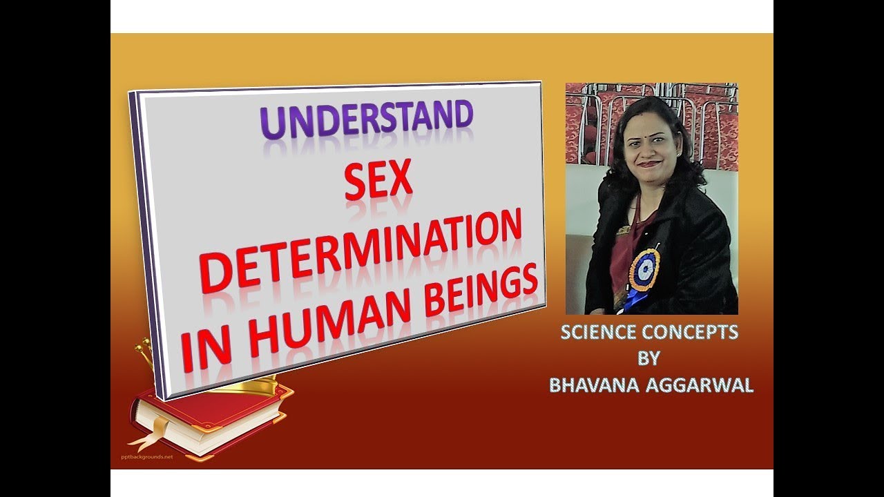 Sex Determination in Human Beings