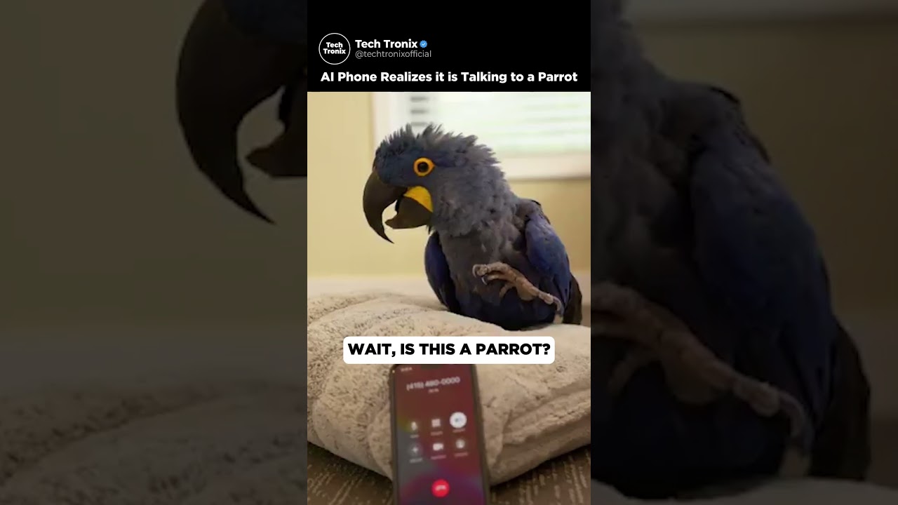 AI Phone Talks to Parrot🦜