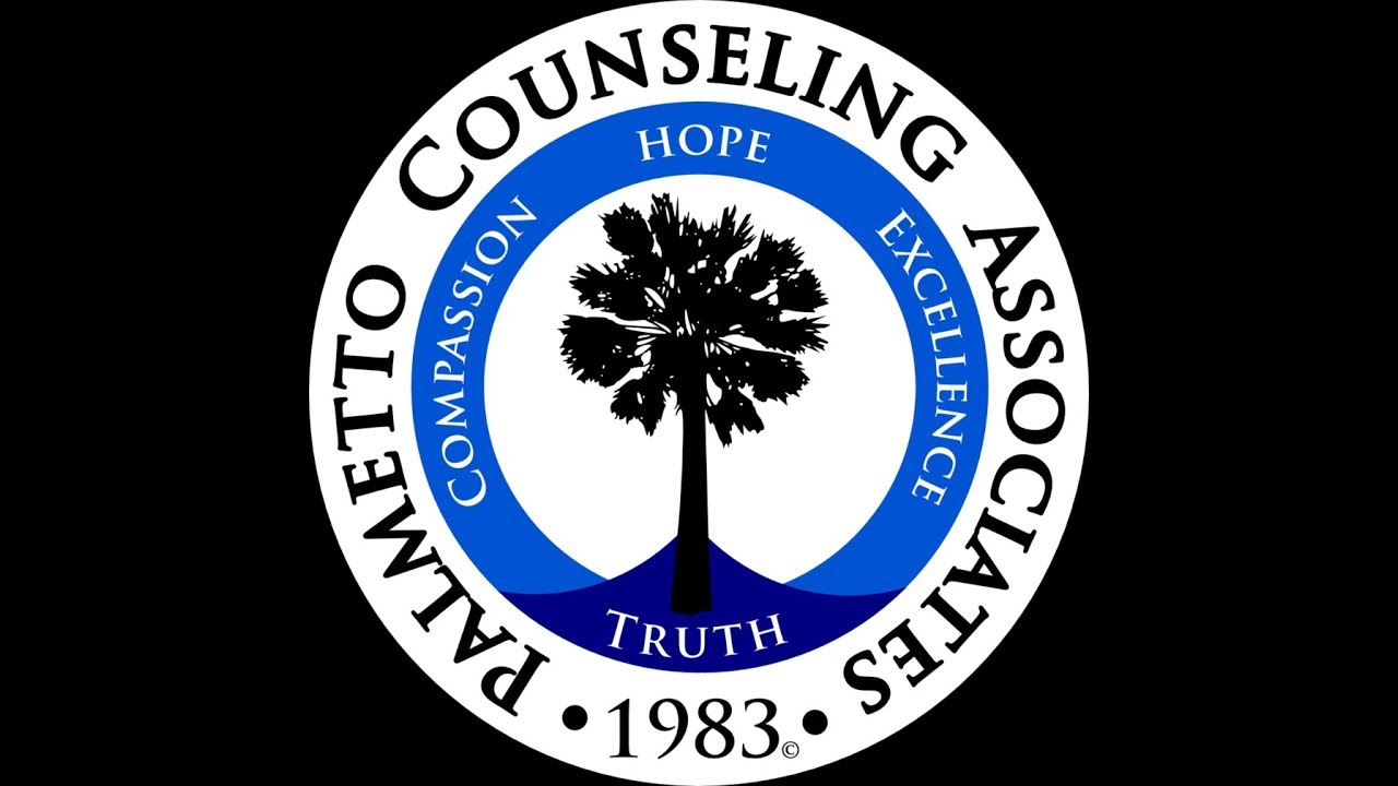 Palmetto Counseling Associates Provider Ad 2018 YouTube