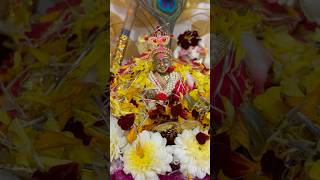 Krishna Janmashtami Pooja 2025 | गोकुळाष्टमी २०२५