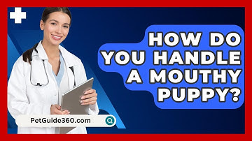 How Do You Handle A Mouthy Puppy? - PetGuide360.com