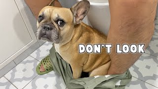 Things I Can NOT Do As A Dog Dad