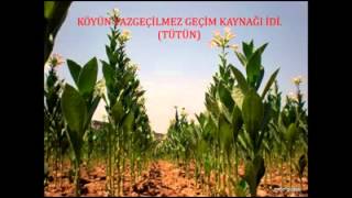Download lagu Kerpiçli köyü tanıtım filmi Kerpiçli köyü tanıtım filmi