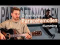 Gitaar tutorial: Paracetamollen van Flemming voor beginners en gevorderden