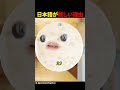 日本語が難しい理由
