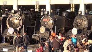 ☆梅小路蒸気機関車館閉館スペシャルセット☆レア☆硬券☆ ☆梅小路蒸気機関車館閉館スペシャルセット☆レア☆硬券