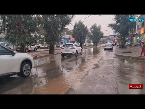 مديرة الري أمطار وفيرة خلال ثلاثة أيام تعوض جفاف العام الماضي في كوية تغطية هاوزين عبدالواحد