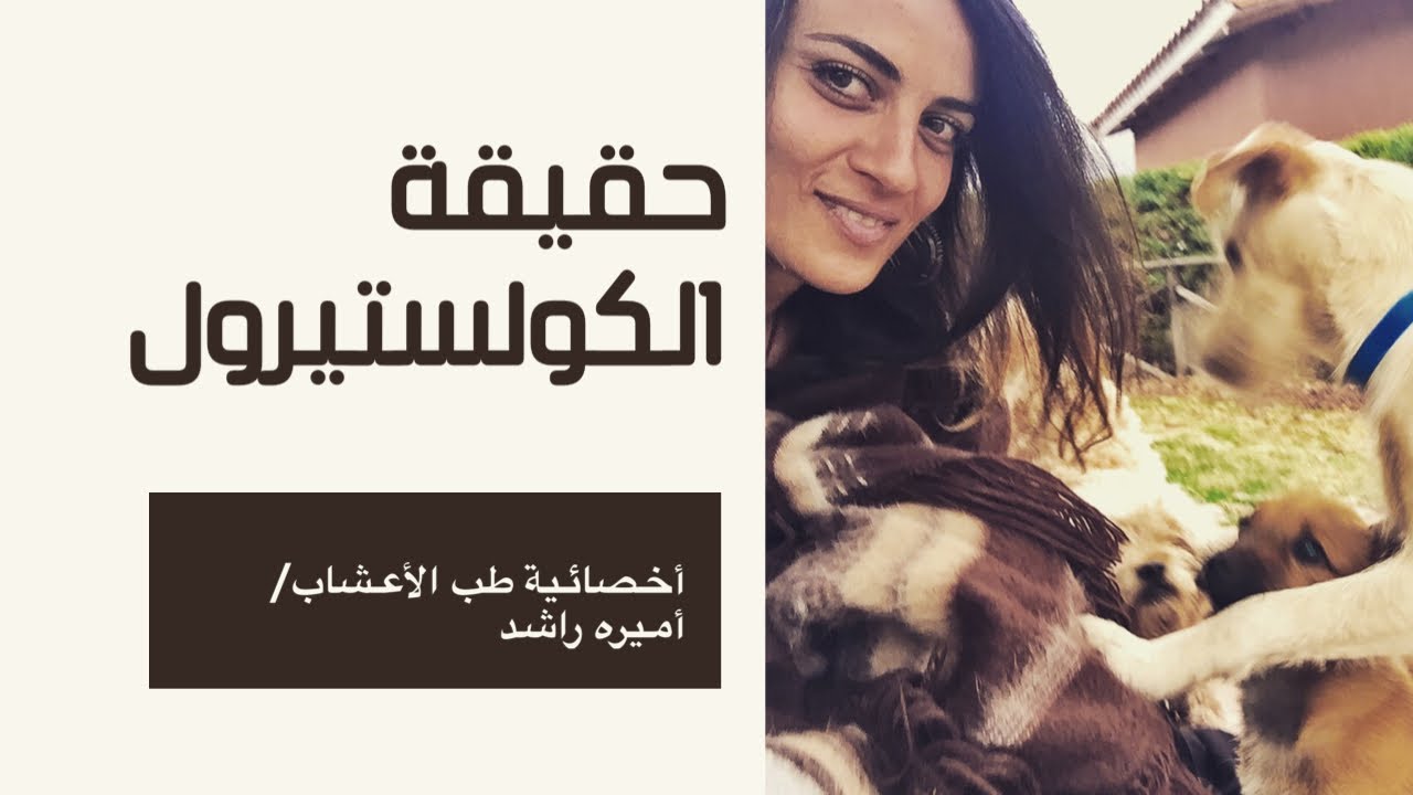 الأسباب الحقيقية وراء ارتفاع نسبة الكوليسترول في الدم التي لا يتحدث عنها أحد