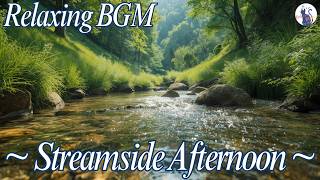 Streamside Afternoon ~ Relaxing BGM for Study & Work ~ 1 Hour Instrumental