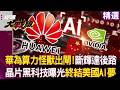 華為「算力怪獸」出閘！徹底斷輝達後路 萬顆晶片堆出黑科技 中國正式終結美國AI夢！｜#環球大戰線