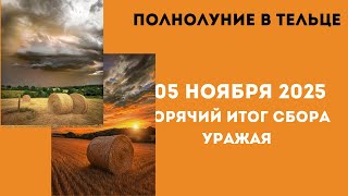 видео: Полнолуние  в тельце 05  ноября  2025- горячие финансовые    и любовные  разборки поле сбора урожая картинка: Полнолуние  в тельце 05  ноября  2025- горячие финансовые    и любовные  разборки поле сбора урожая