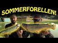 Forellenangeln im Sommer | Sieksee