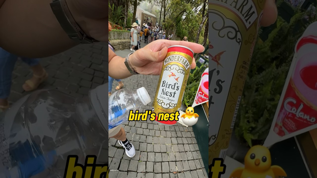 Chris Dinh tries BIRDS NEST 🐣🤢 drink in DA NANG, VIETNAM 🇻🇳 