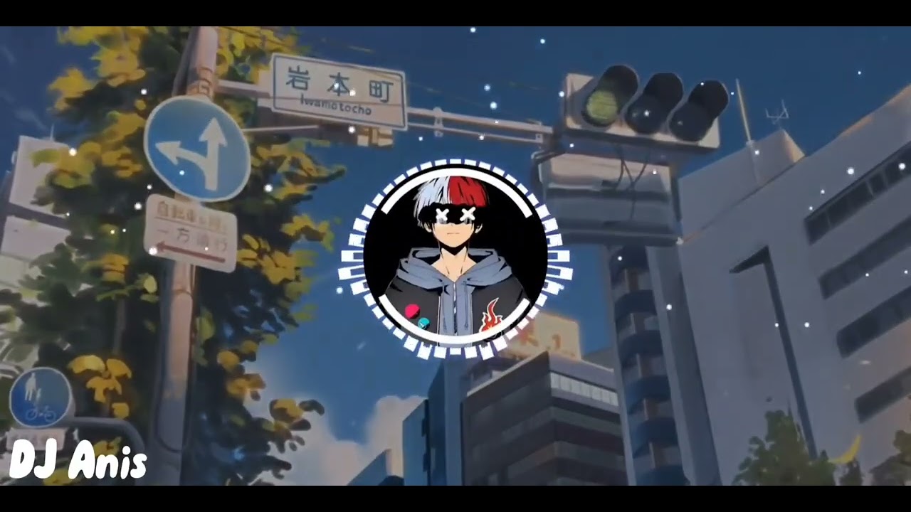 DJ Anis :DJ Basindir (TikTok Version )__Music2022