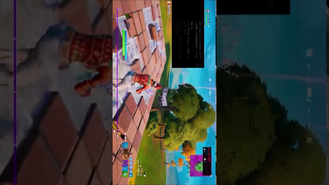 I Got theFishstick NPC a win in fortnite!