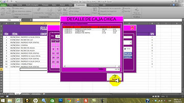 Flujo de Caja Chica VBA en Excel  | Registro de Ingresos y Egresos