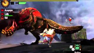 Monster Hunter 4 Ultimate - Savage Devil Jho