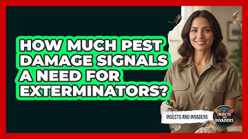 How Much Pest Damage Signals A Need For Exterminators?