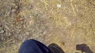 chalma 2010 275.avi