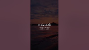 سورة الأعلى | القارئ عبدالرحمن مسعد